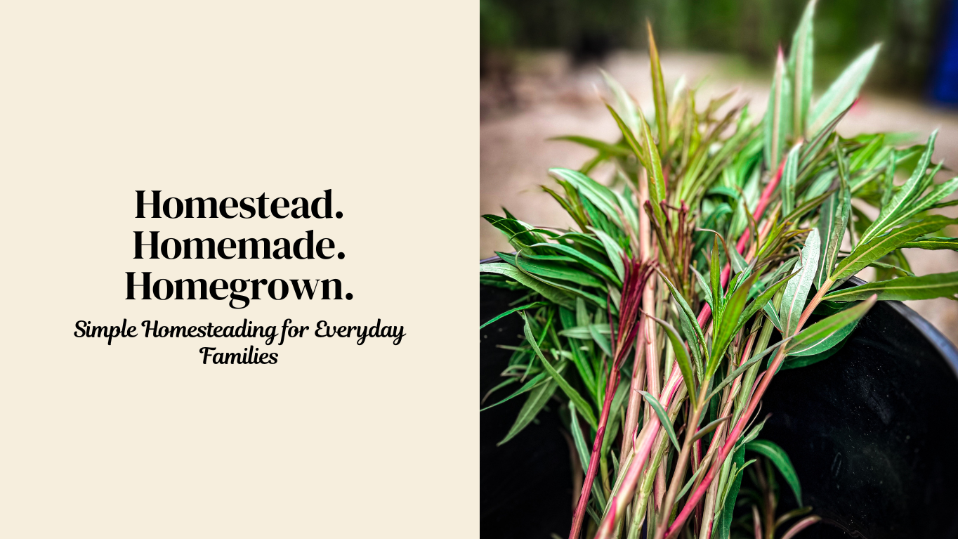 Homestead, Homemaking, and Homegrown